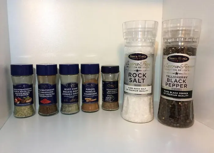 Apartment Perfect Near The + 5 Free Bikes