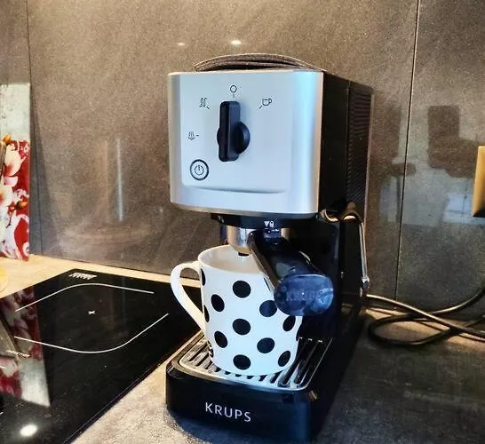 Perfect Near The + 5 Free Bikes * Parnu