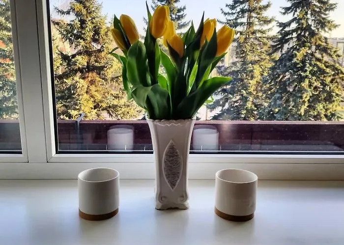 Perfect Near The + 5 Free Bikes Apartment Parnu